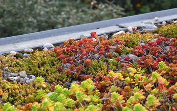the cost of Buchley green roof installation