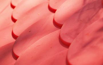 Buchley plastic roof costs