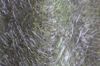 Buchley fibreglass roof work