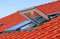 Buchley roof window
